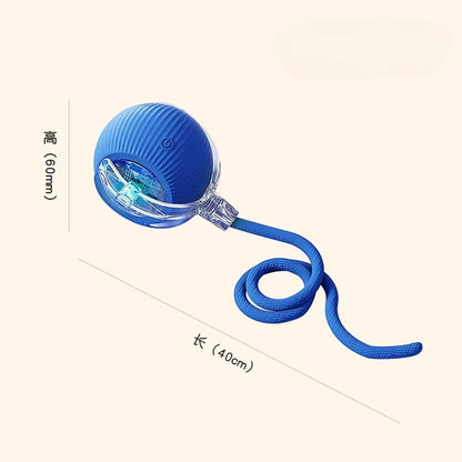 Interactive Cat Rolling Ball Toy